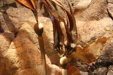 �������� � ��������